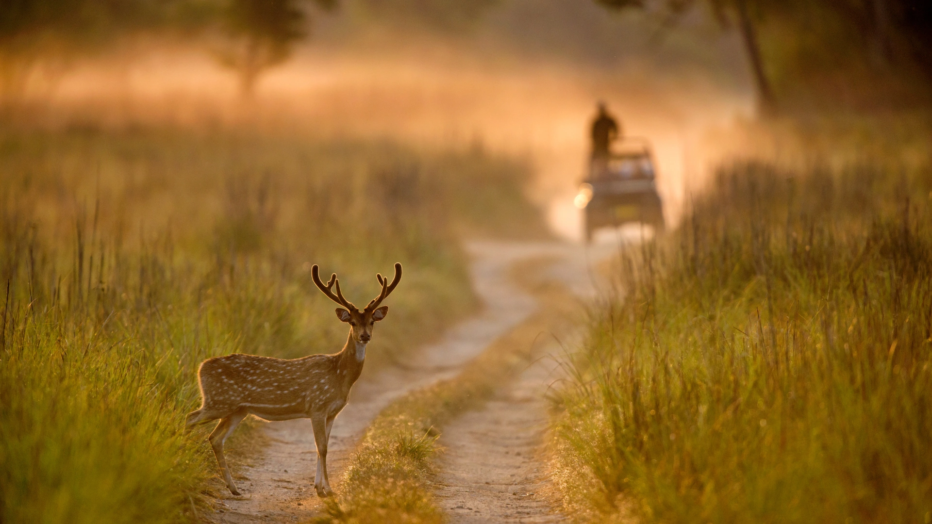 Jim Corbett National Park