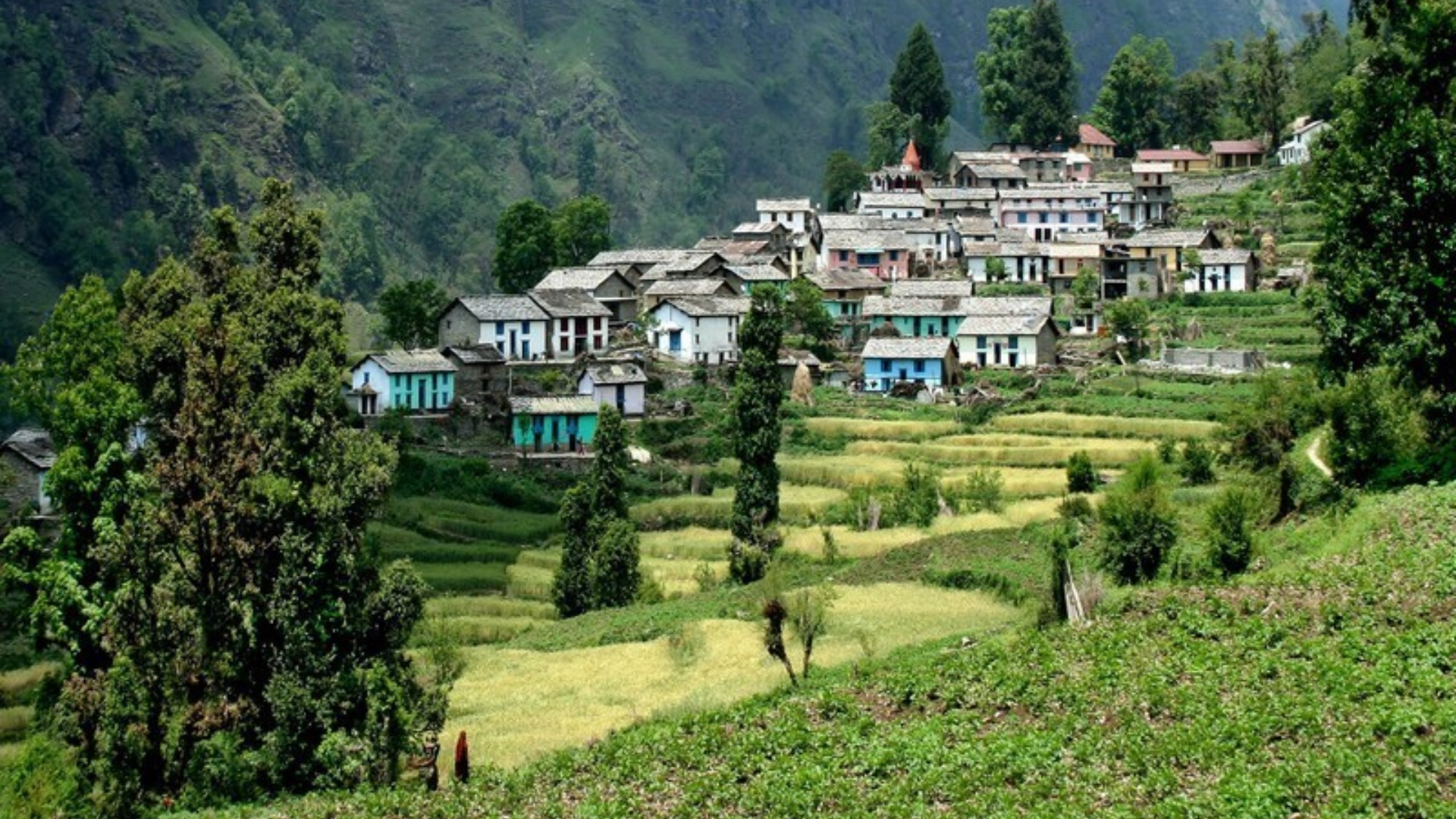 Ranikhet