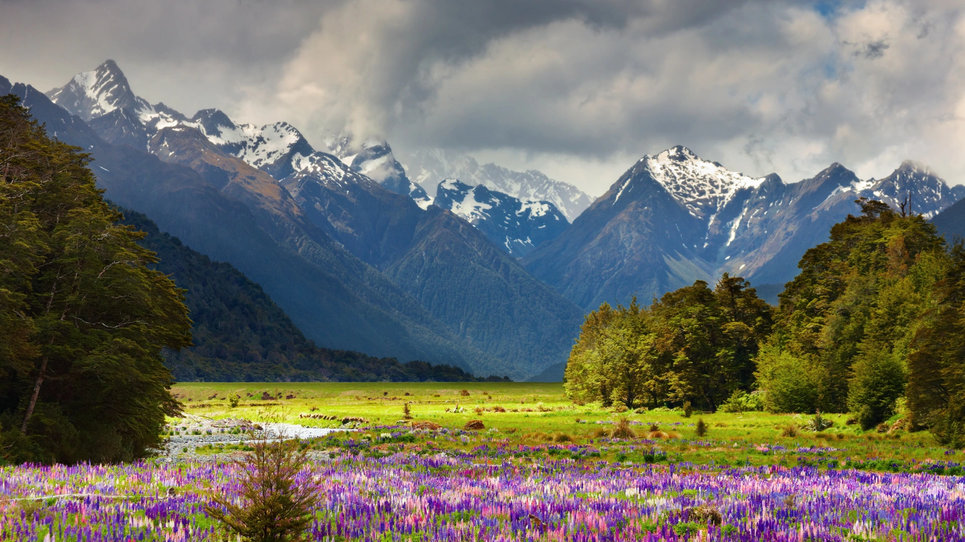 Valley of Flowers